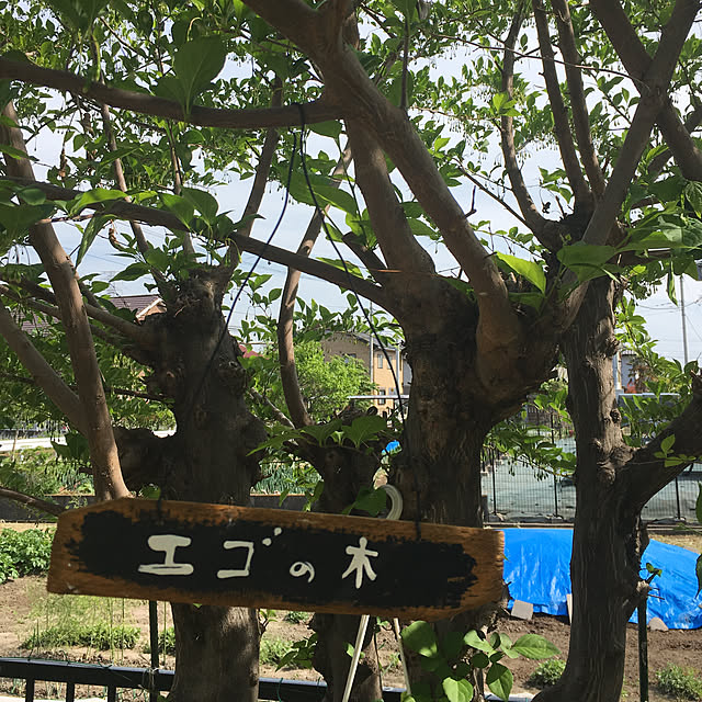 yurinaさんの実例写真