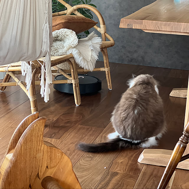 momoさんの実例写真