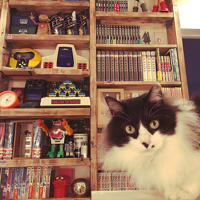 EPOCHさんの実例写真
