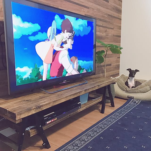 hiroさんの実例写真