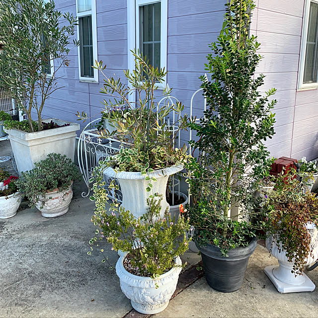 AYUKOさんの実例写真