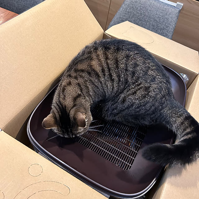 saeさんの部屋