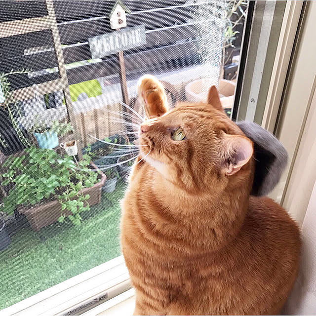 youkoさんの実例写真