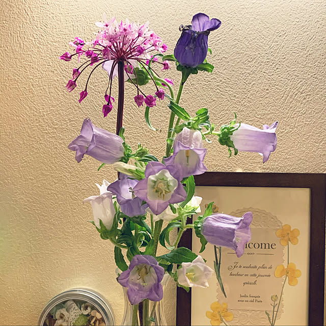 fuxi0413さんの実例写真