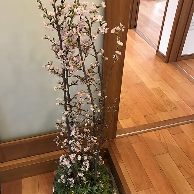 yamachiさんの実例写真