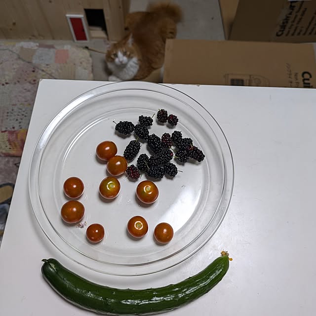mori_6_12さんの実例写真