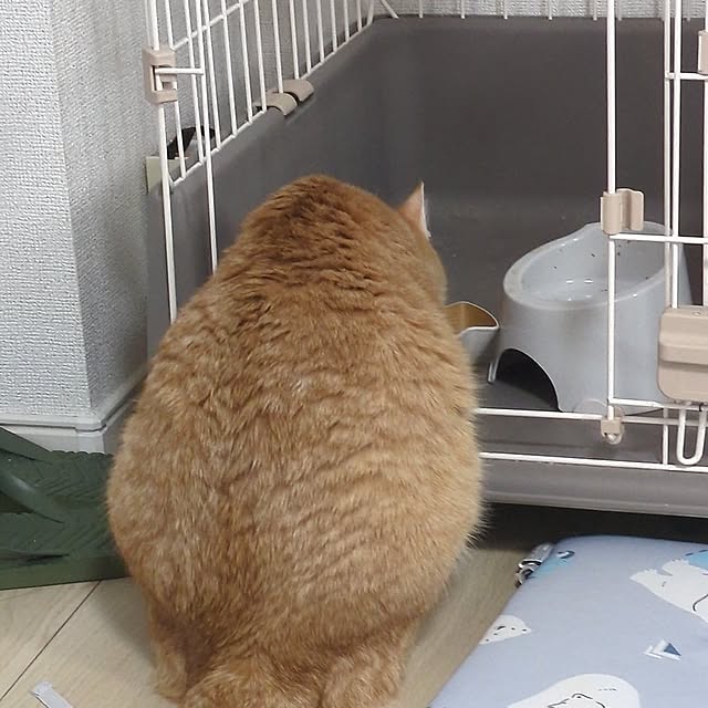 minnieさんの部屋