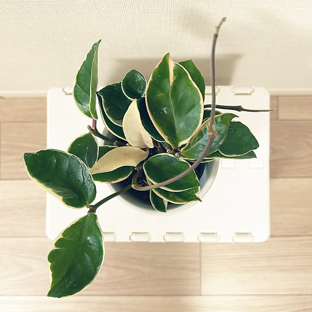 yoyoyoさんの部屋