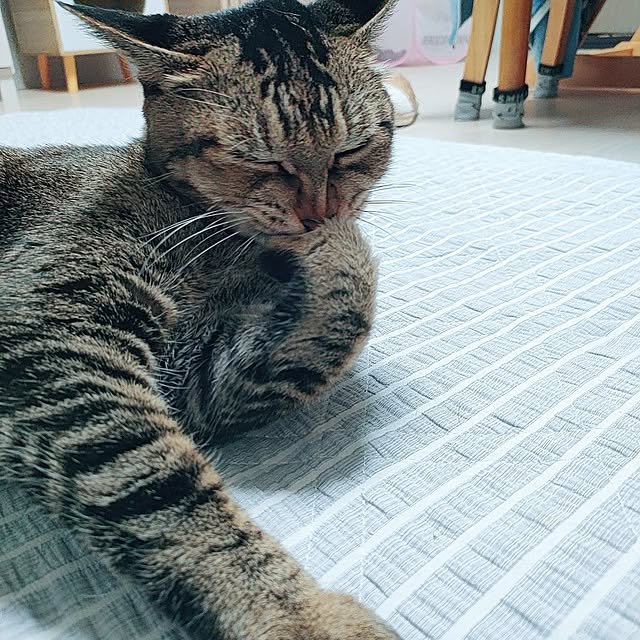 cocomintさんの実例写真