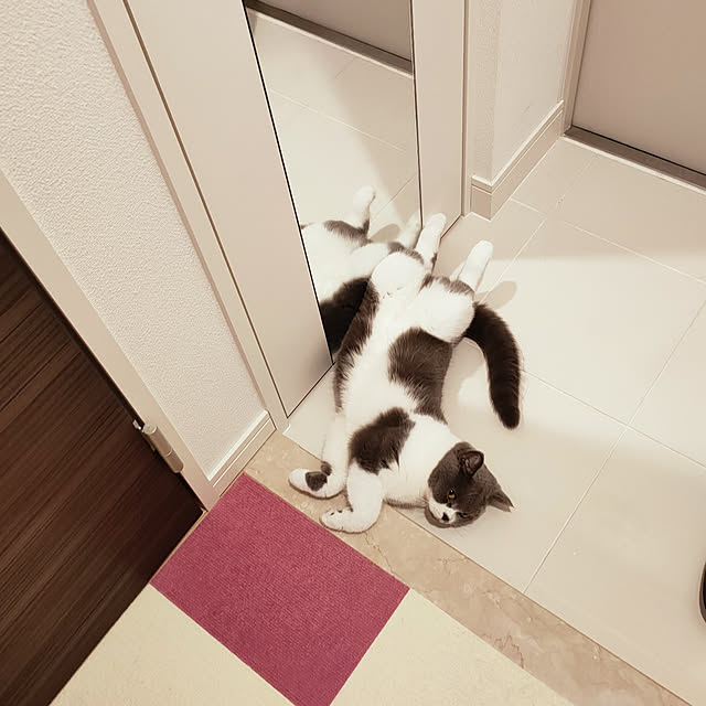 KEIKOさんの実例写真