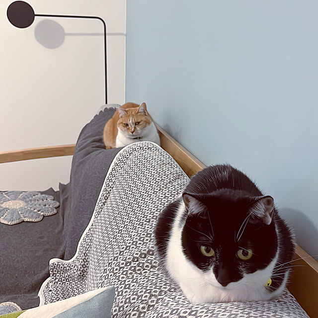 Yさんの実例写真