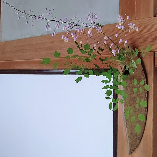 gardenさんの部屋