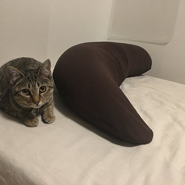 Mさんの実例写真