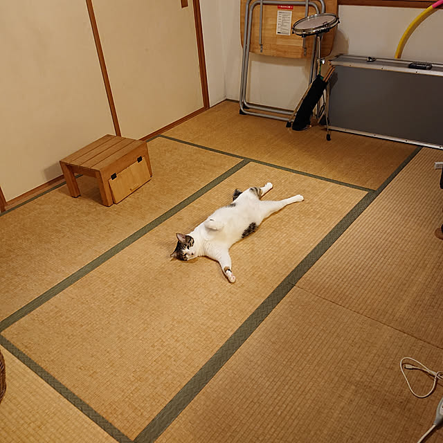 okyosan101さんの実例写真