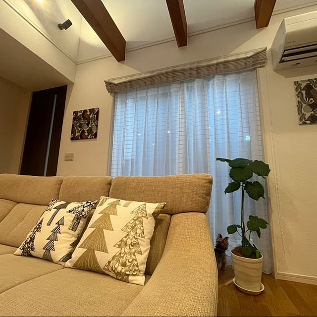 sugakoakiraさんの部屋