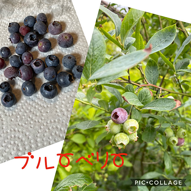 banken3jpさんの実例写真