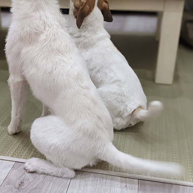 mio_ibu_1106さんの実例写真