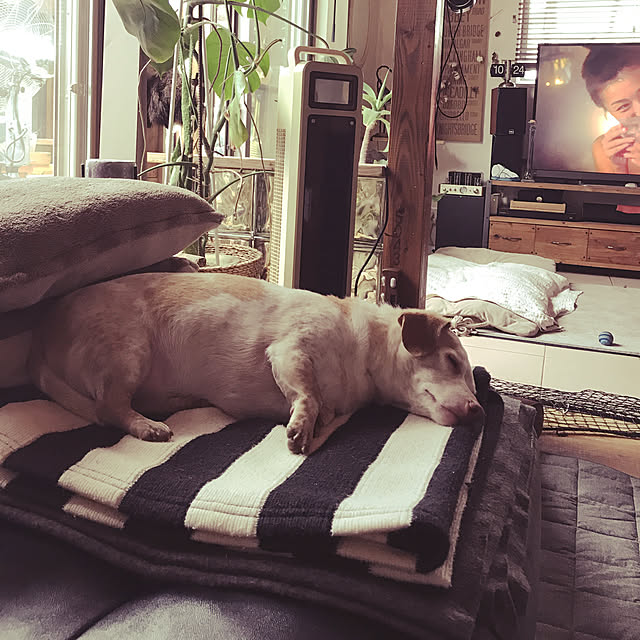 Risaさんの実例写真