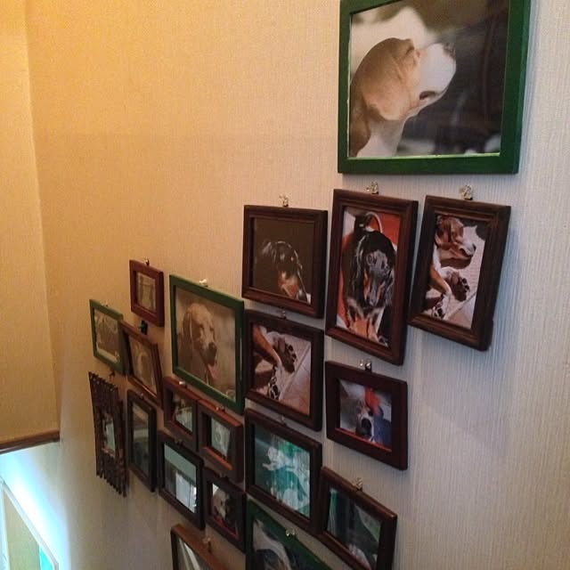 yukkyukiさんの実例写真