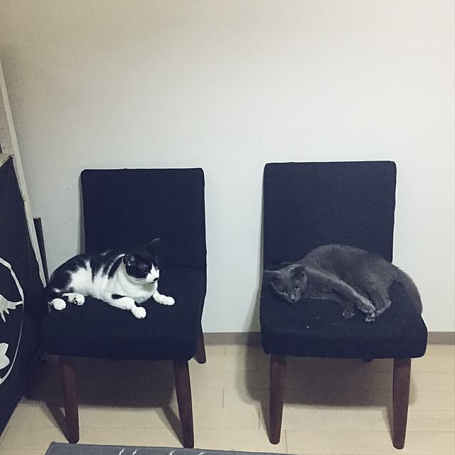 amaneさんの実例写真