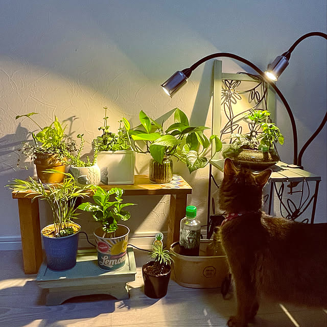 paradise_viewさんの実例写真