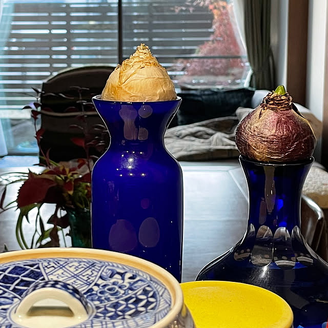 buchiさんの部屋