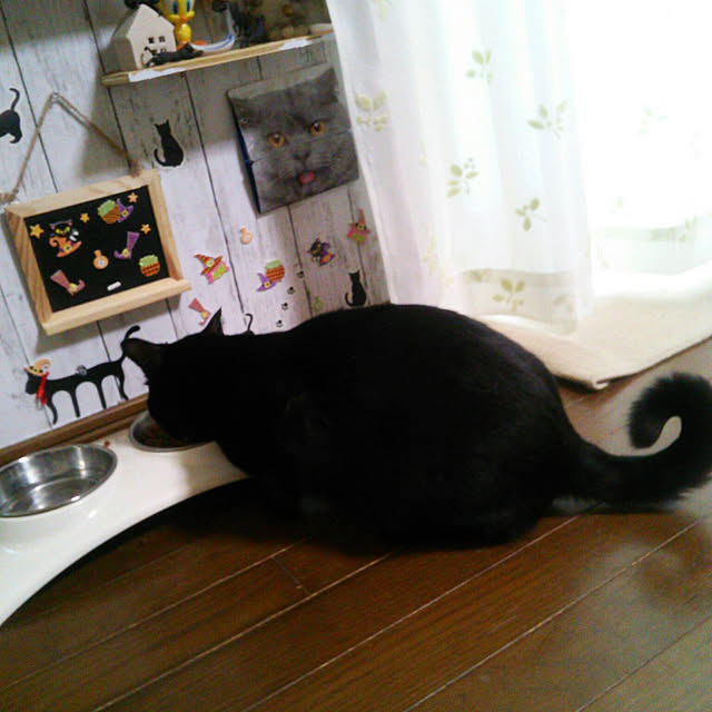 Tomopさんの実例写真