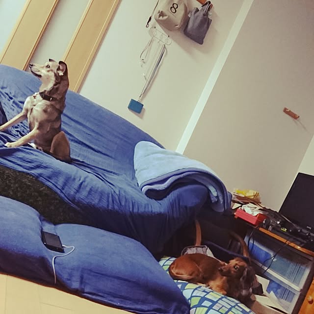 andさんの実例写真