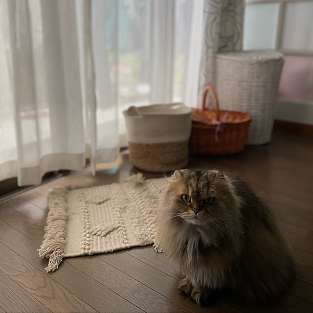 xxyumexx.roomさんの実例写真