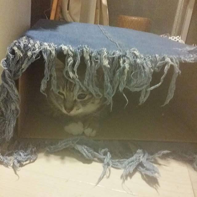 annさんの実例写真