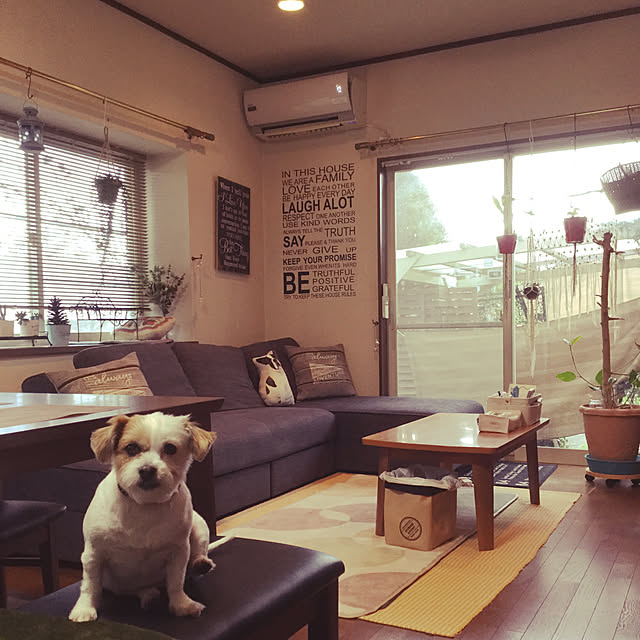 milkmeronさんの実例写真