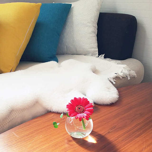 Motomeさんの実例写真