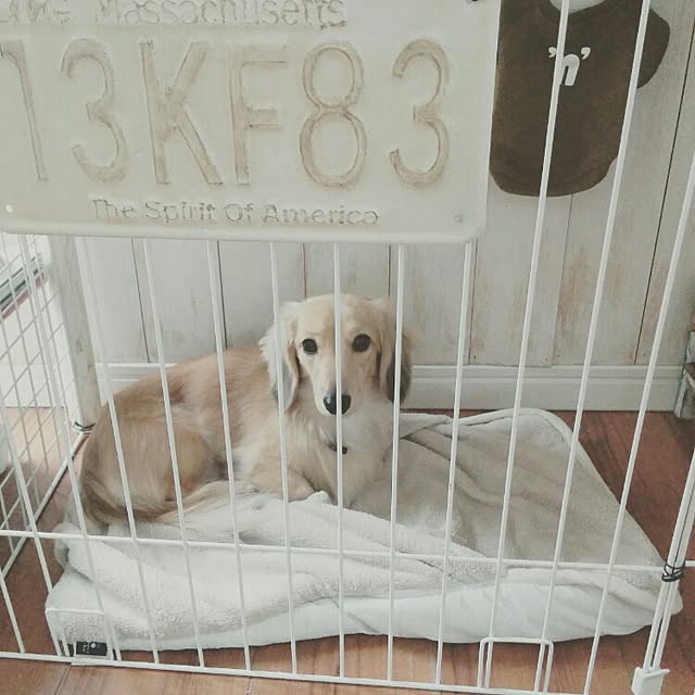 chocolateさんの実例写真