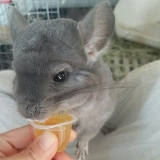 sakusakuさんの実例写真