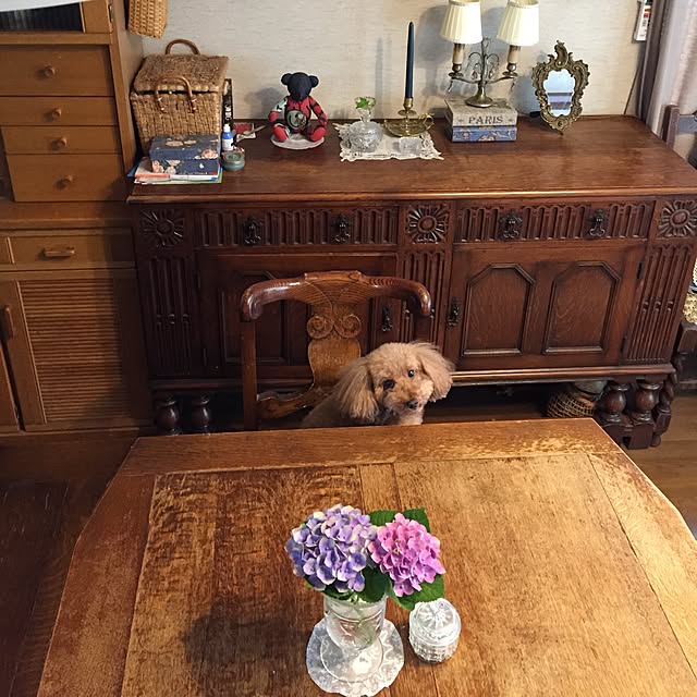 okarinさんの実例写真
