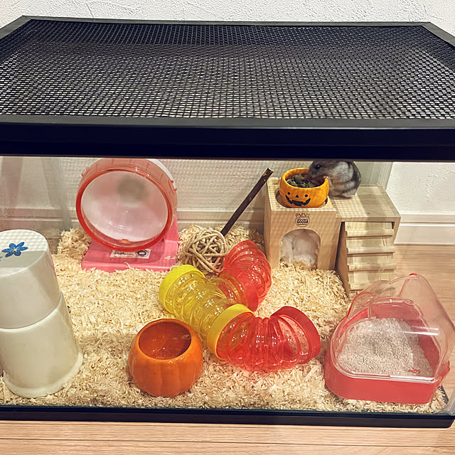 HANAさんの実例写真