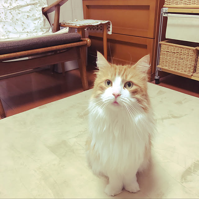 uchidaizuさんの実例写真