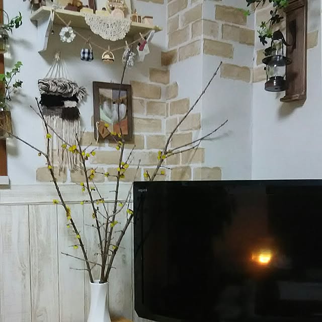 naopyiさんの実例写真