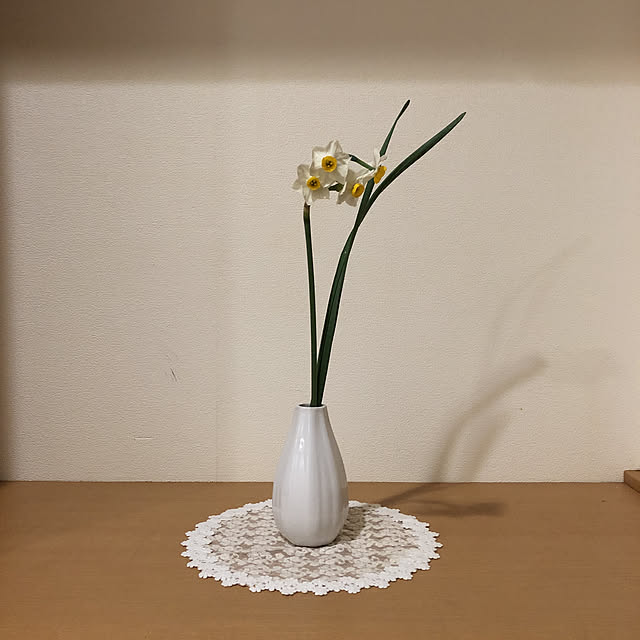 fumikoiさんの実例写真