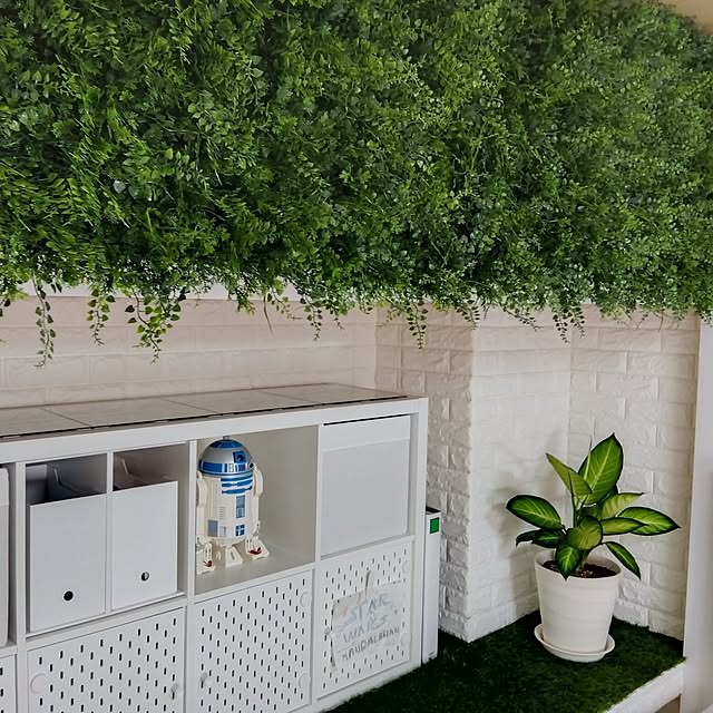 観葉植物のある暮らしのインテリア実例 - 2026-06-12 13:27:18