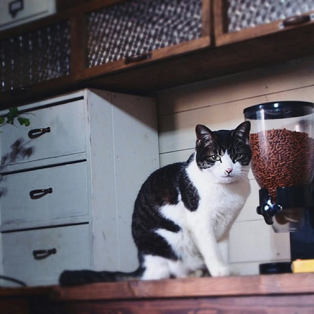 yukiさんの実例写真