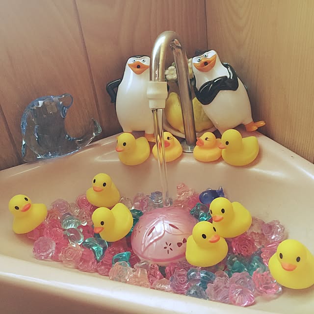 maiさんの実例写真