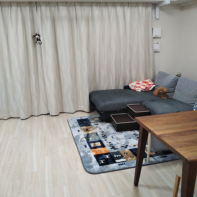 chachaさんの実例写真