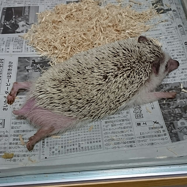 Reikomさんの実例写真