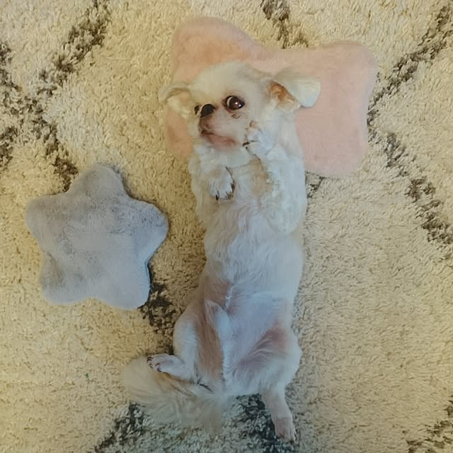 MIARAさんの実例写真