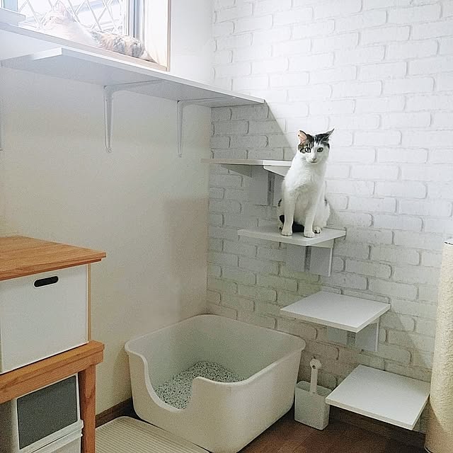 kirakirahikaruさんの実例写真