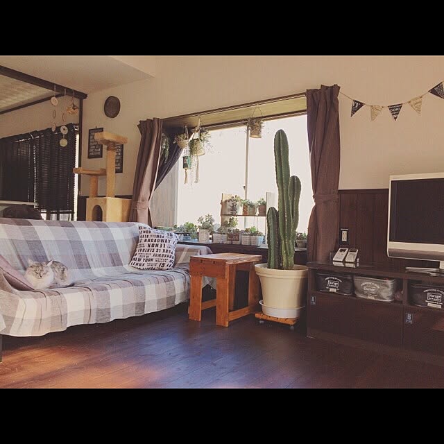 ayu__mamanさんの実例写真