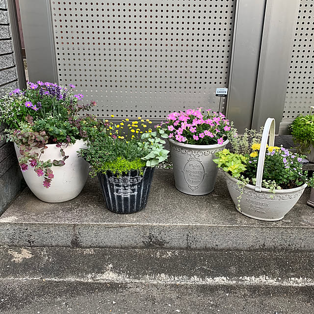 maayaさんの実例写真
