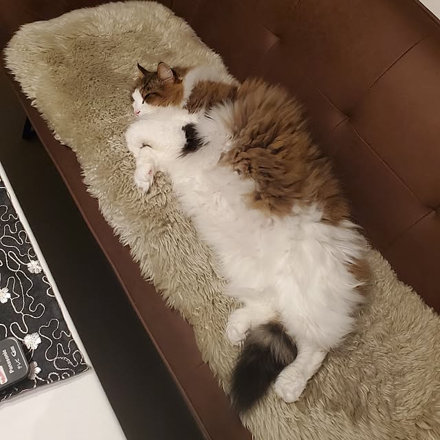 muku+maroさんの実例写真