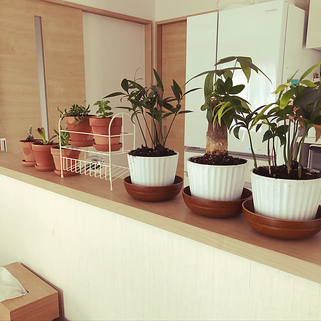 kumahomeさんの実例写真